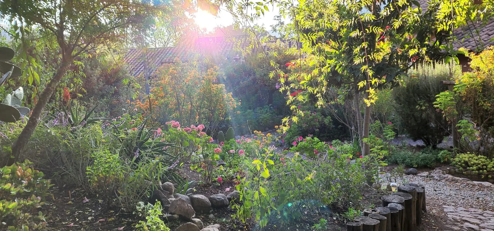 Jardines y huerta